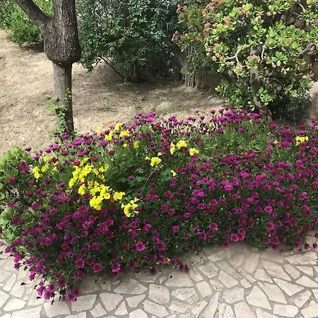 Διαμέρισμα My Heart House *